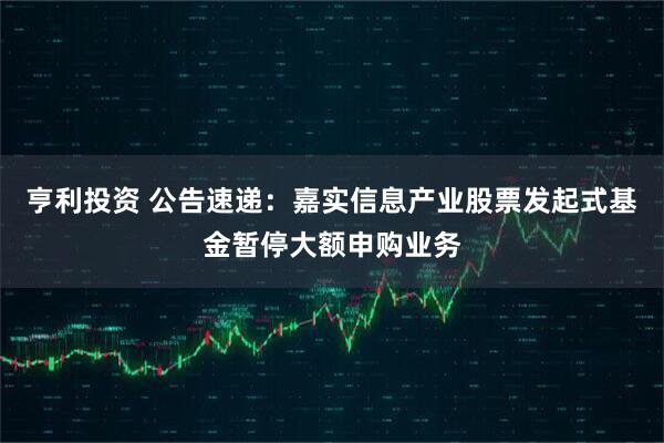 亨利投资 公告速递：嘉实信息产业股票发起式基金暂停大额申购业务