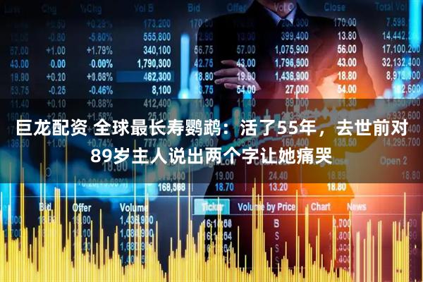 巨龙配资 全球最长寿鹦鹉：活了55年，去世前对89岁主人说出两个字让她痛哭