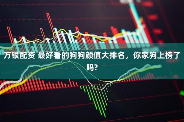 万银配资 最好看的狗狗颜值大排名，你家狗上榜了吗?